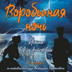 Воробьиная ночь (12+)